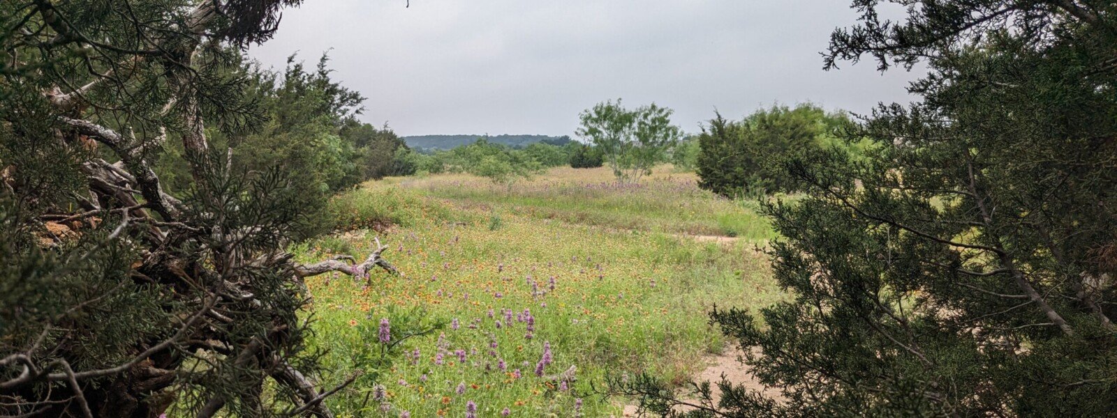 Exiting the woods at the South Park